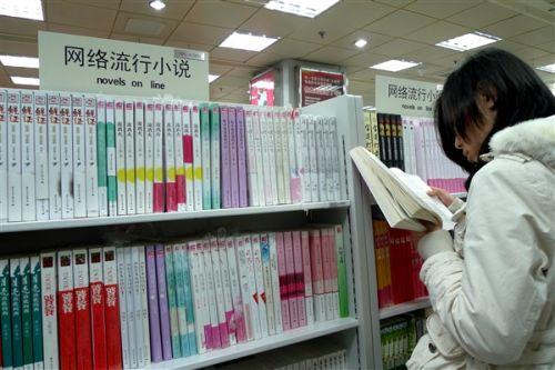 中国网络流行小说