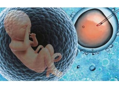 学位论文赏析：人体冷冻胚胎的法律属性及其保护