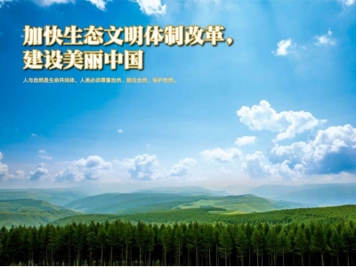 构建具有中国特色的旅游生态经济管理体系