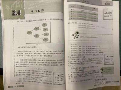 高中数学课堂探究性学习的困惑与思考