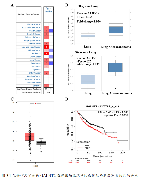 生物信息学分析 GALNT2 在肺腺癌组织中的表达及与患者不良预后的关系