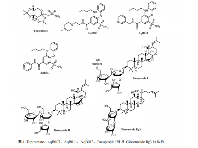新型AQP1抑制剂的结构优化机制研究